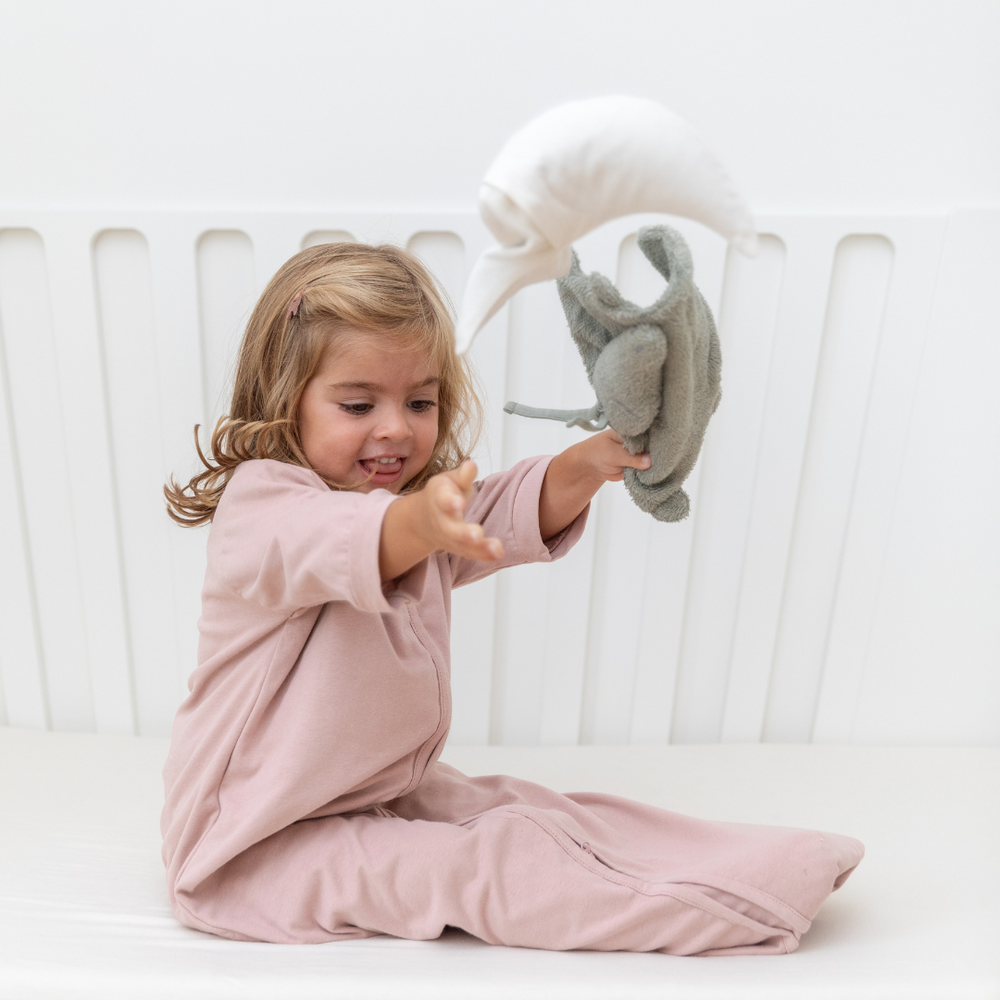 Sac de couchage multi-saisons (TOG 0.5 & 1.0)